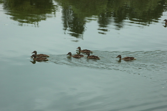 IMG 4856